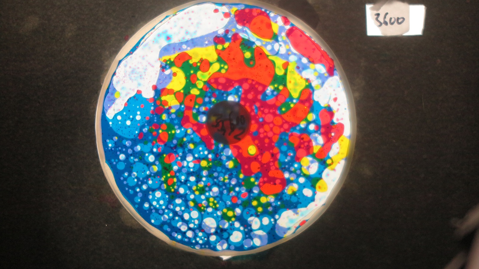 BV3600 bubble vision oil wheel